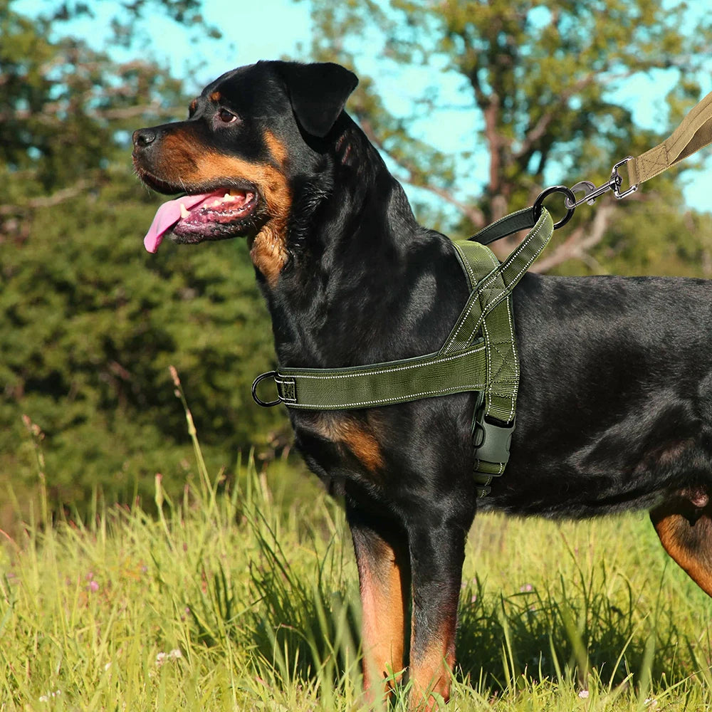 Reflective No-Pull Padded Harness