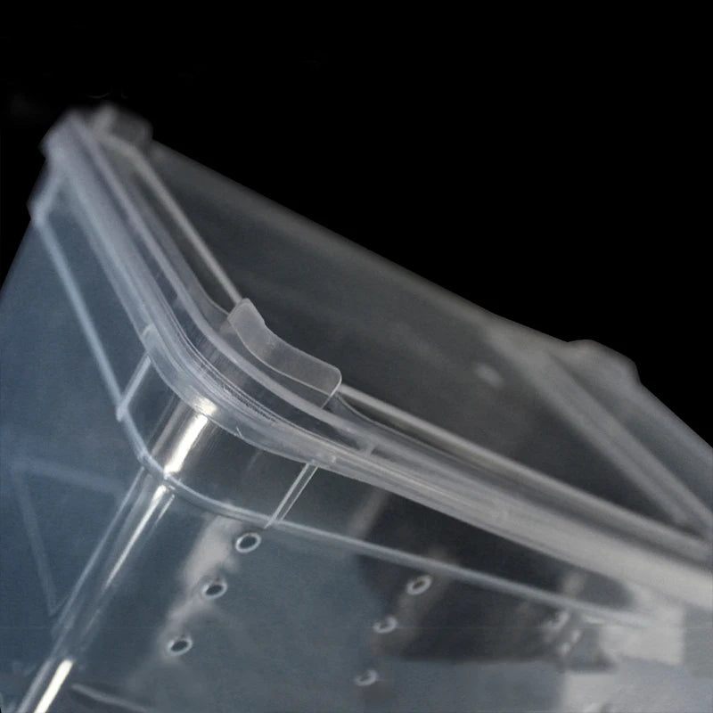 Reptile Transport Box