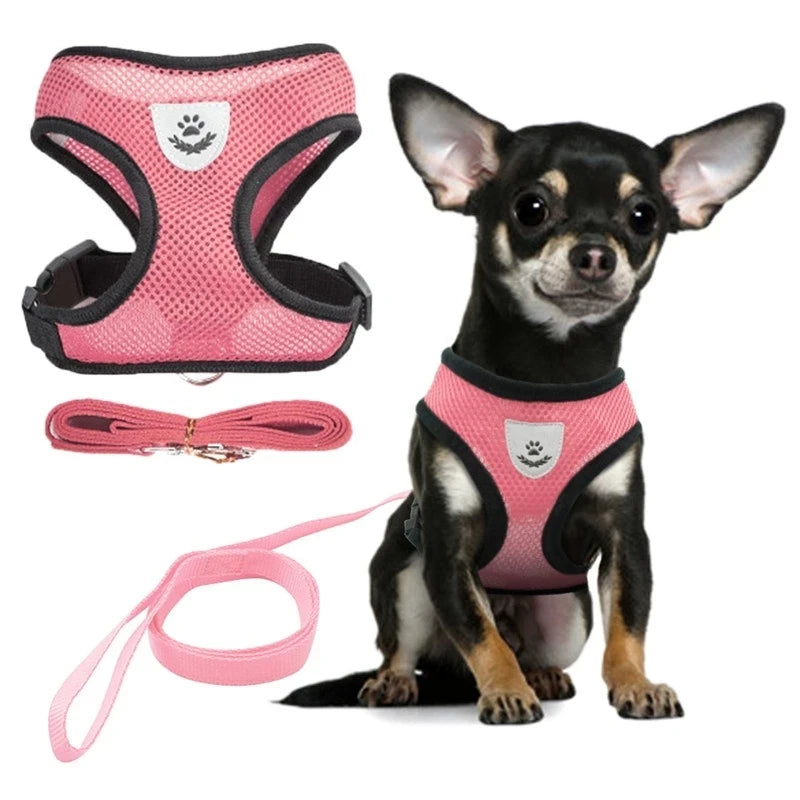 Adjustable Harness Set – Breathable Vest with Leash
