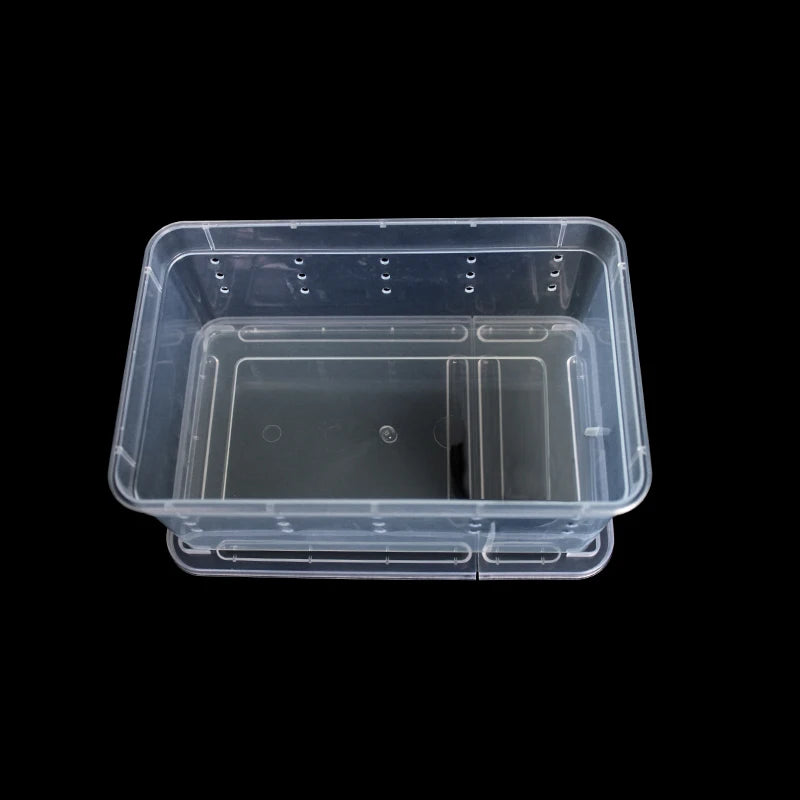 Reptile Transport Box