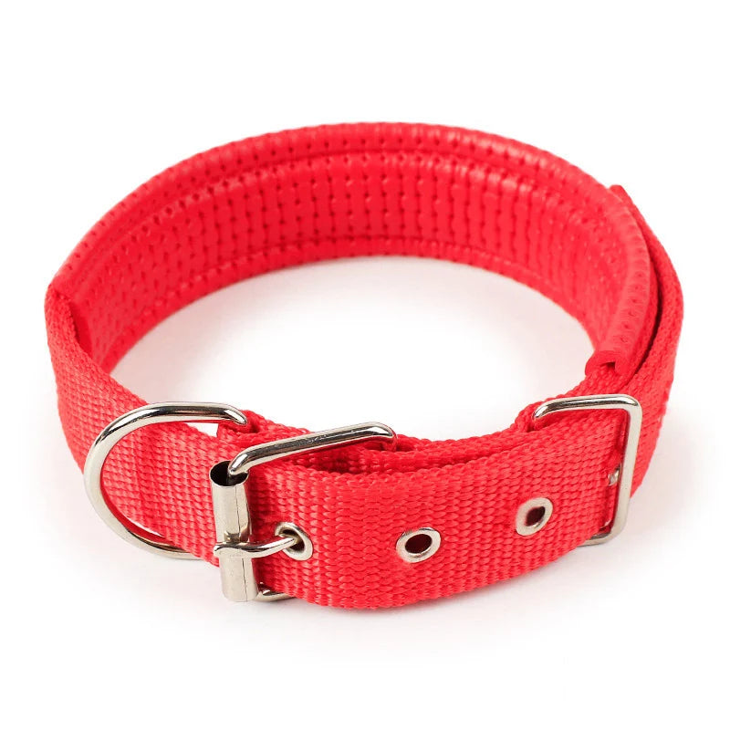 Nylon Collar