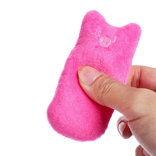Catnip Pillow Toy