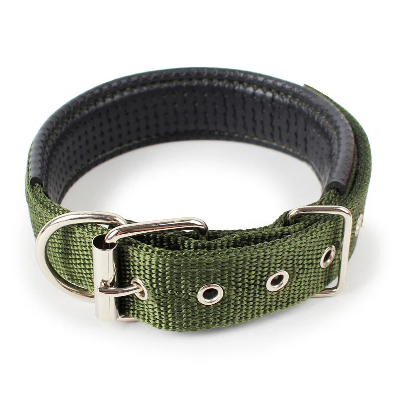 Nylon Collar