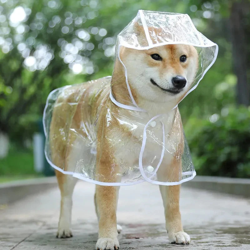Raincoat 2