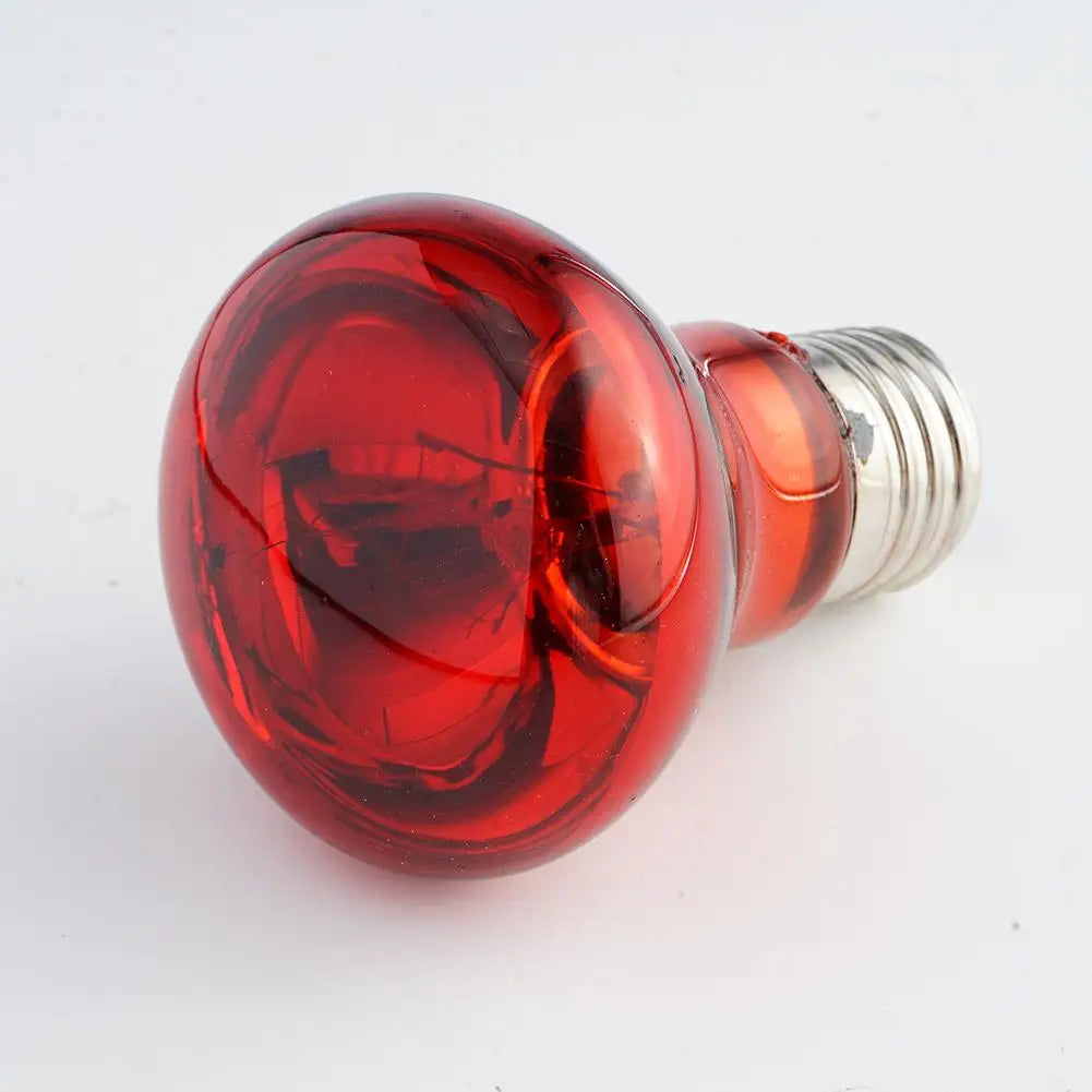 UVA Reptile Heating Lamp