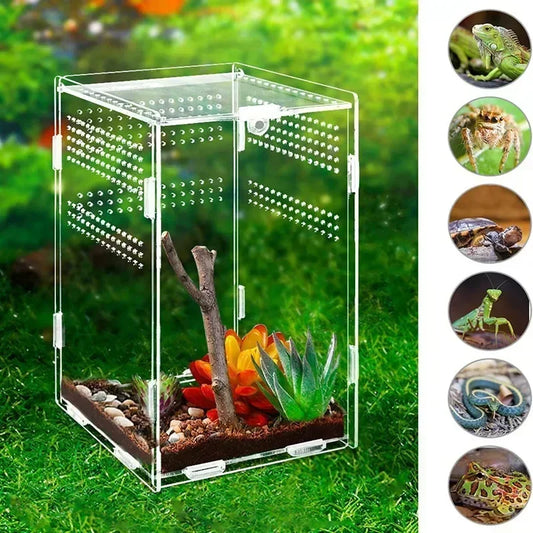 360Β° Acrylic Spider Habitat