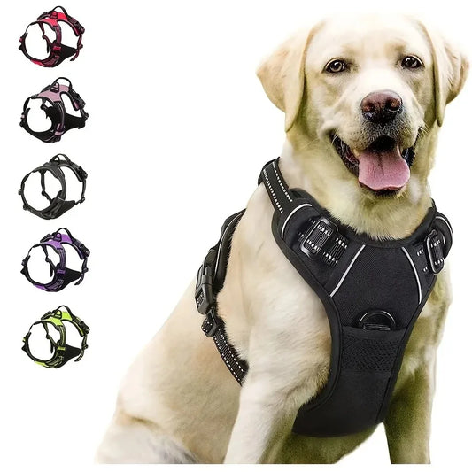 Collars, Harnesses & Leash Set