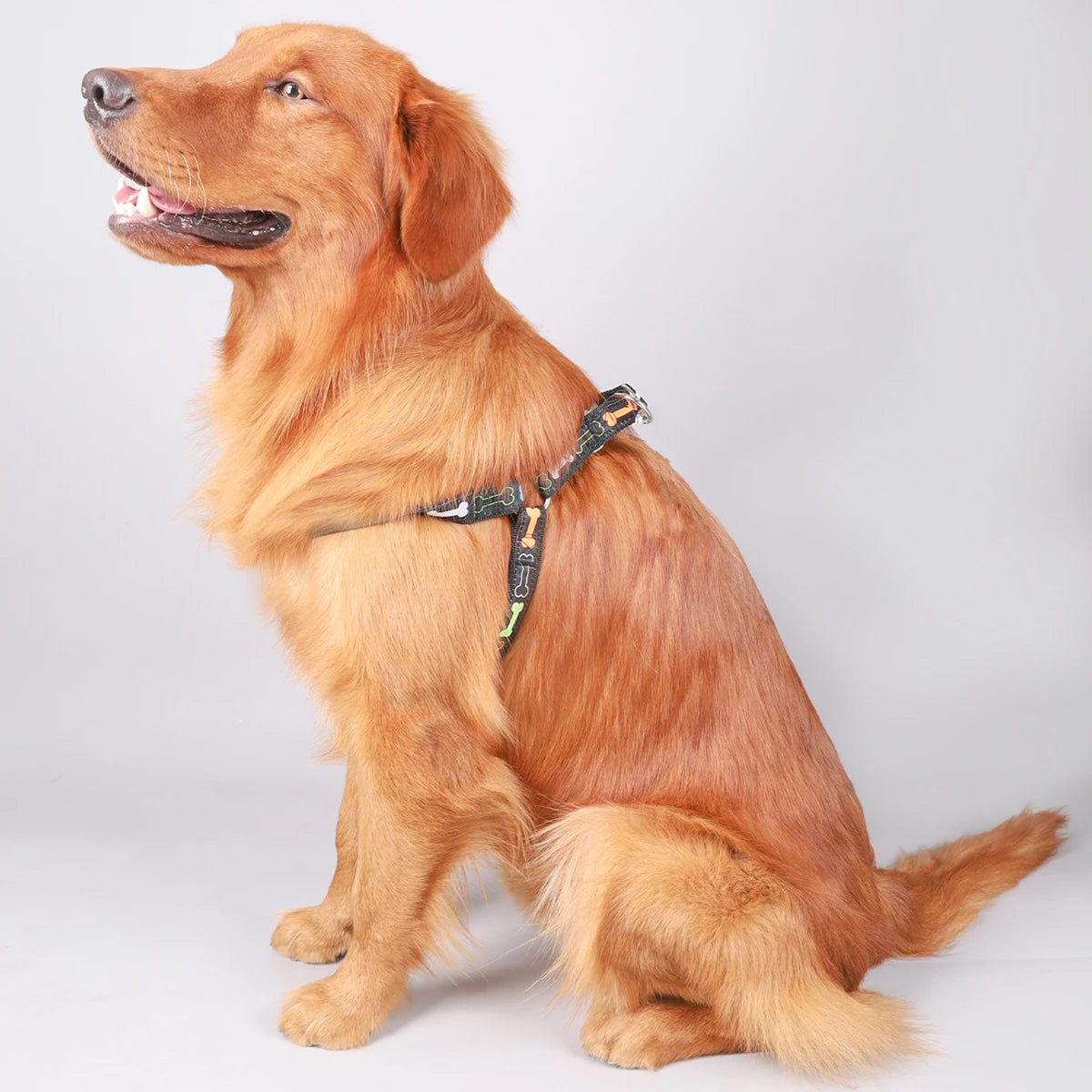 Colorful Bone Tripod Harness