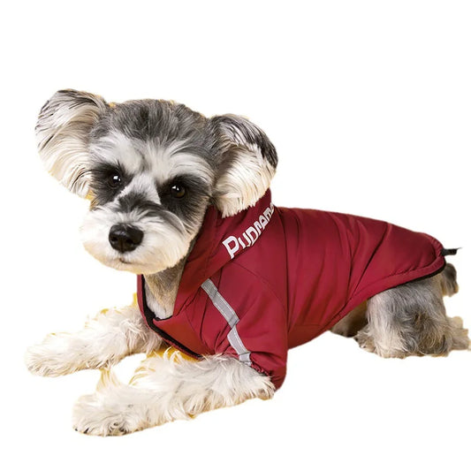 The Dog Face Puffer