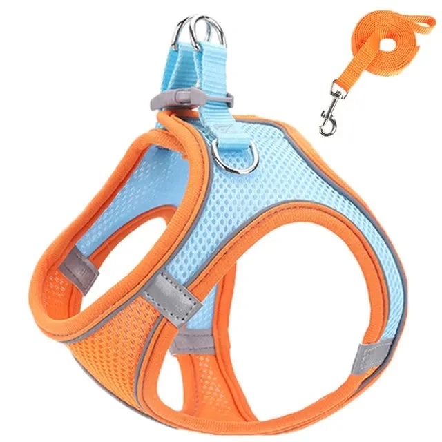 Reflective Dog Harness & Leash Set