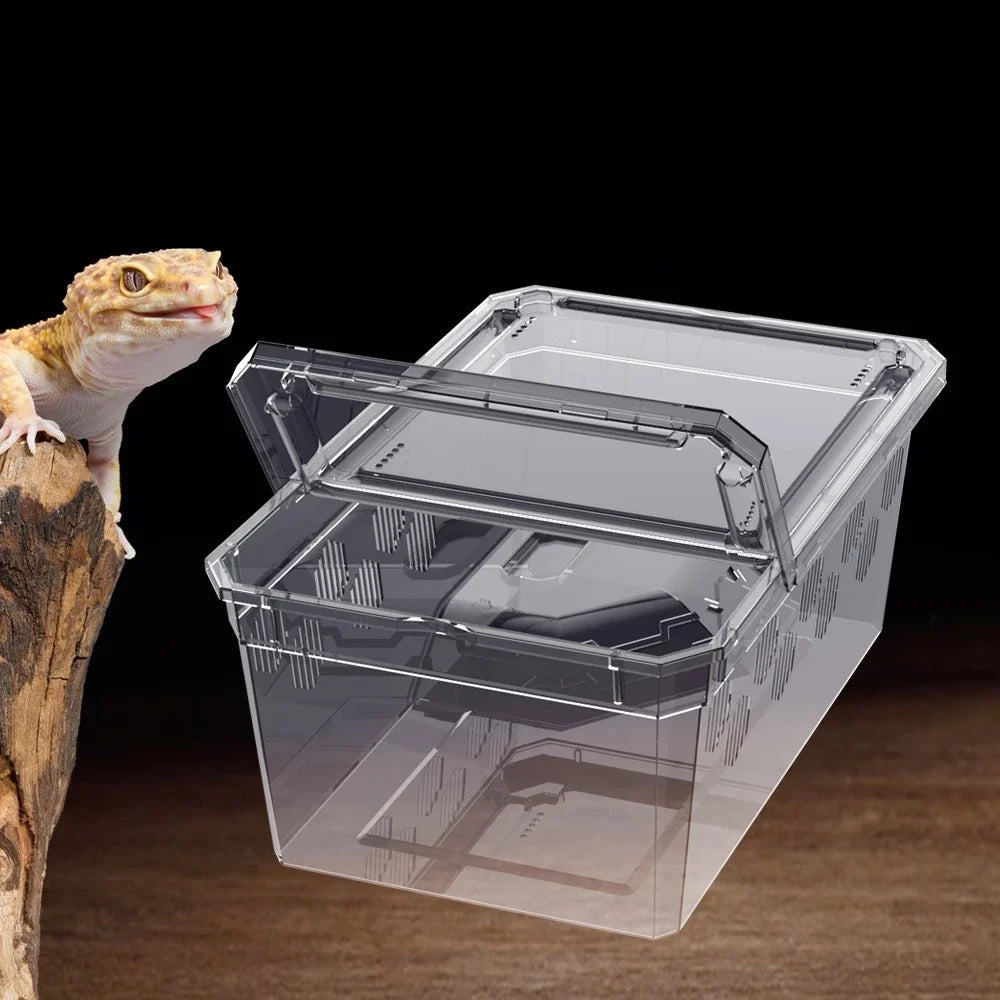 Reptile Breeding Box