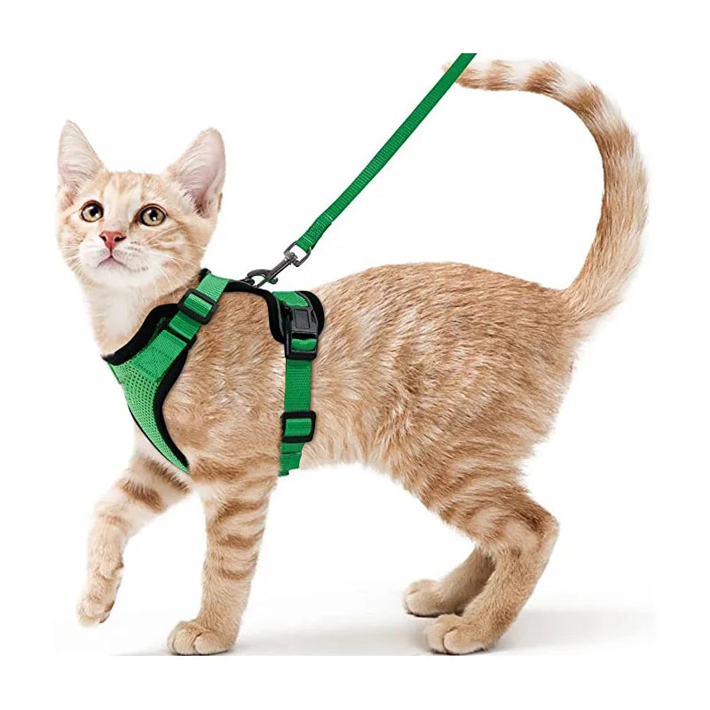 Cat Harness and Leash 3