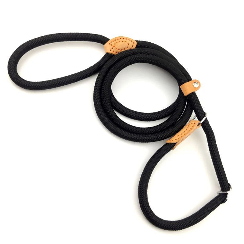 Nylon Leash