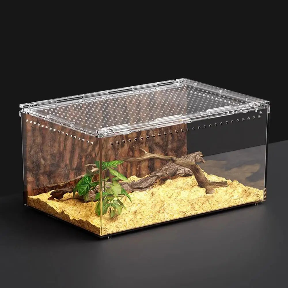Acrylic Terrarium