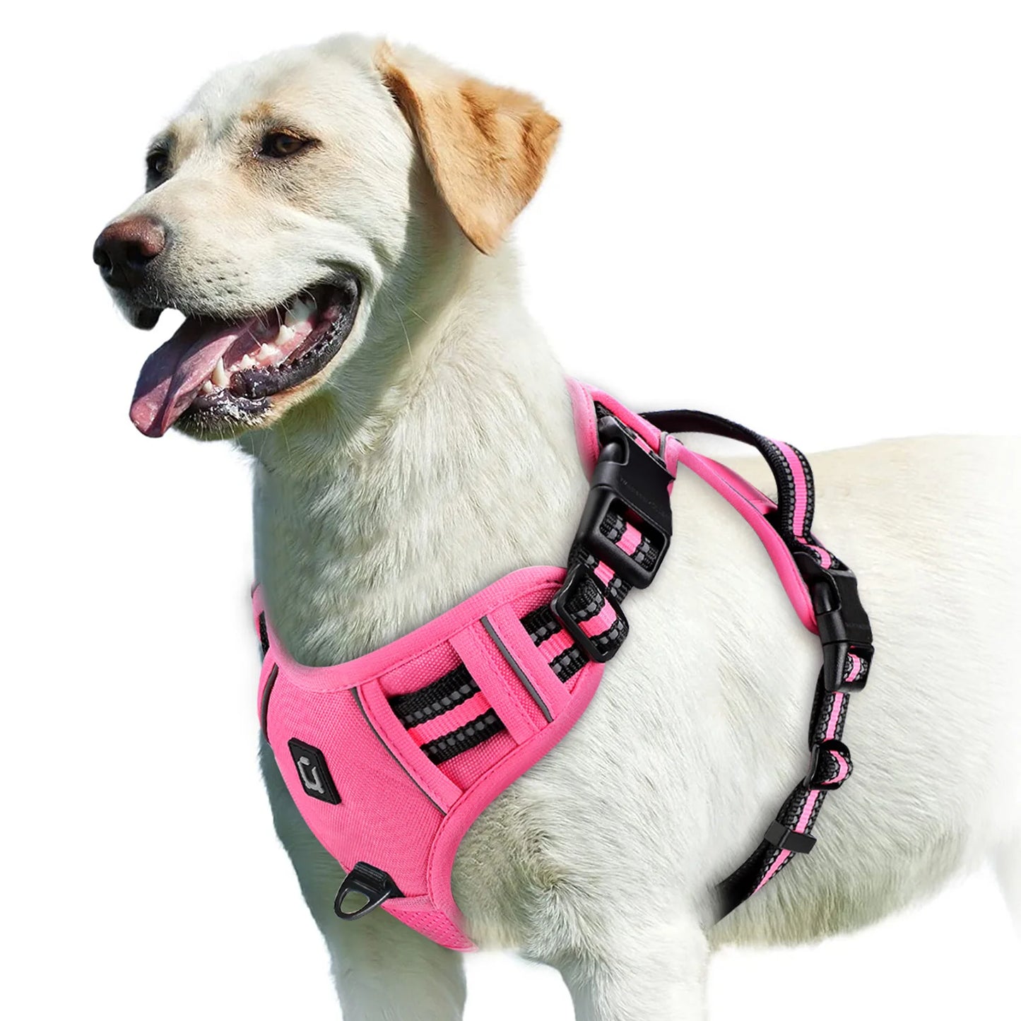 No-Pull Padded Harness