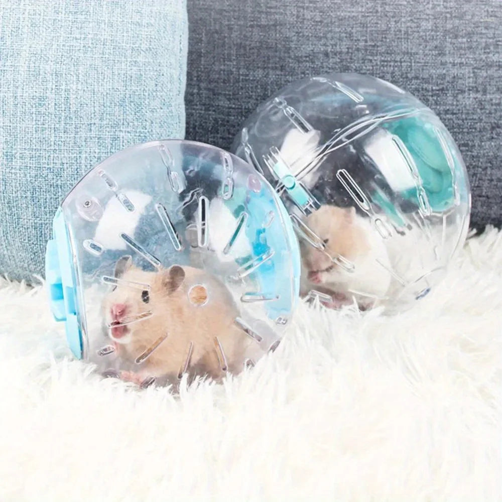 Transparent Hamster Ball