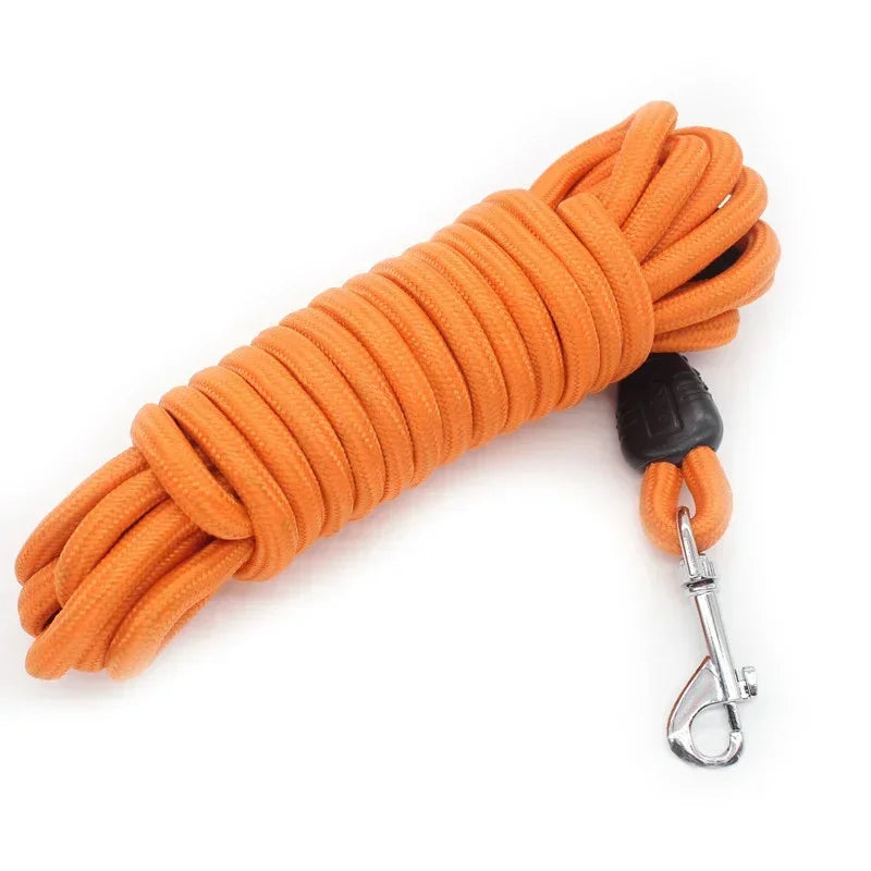 Heavy Duty Nylon Leash