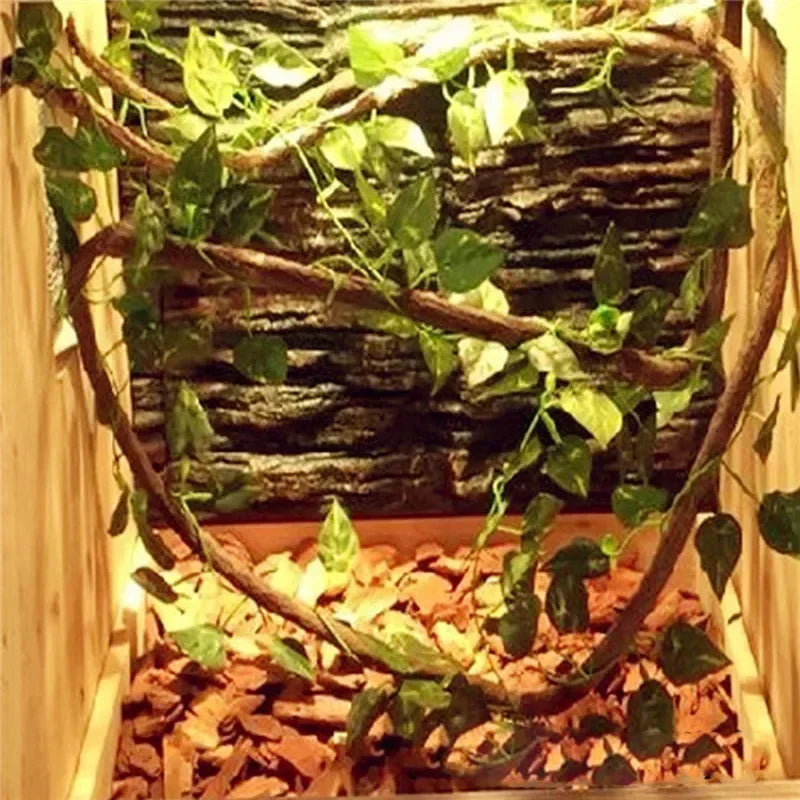 Terrarium Vine Climber