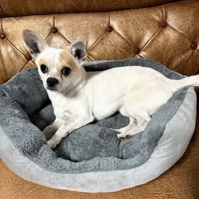 Cozy Pet Sofa - Bed