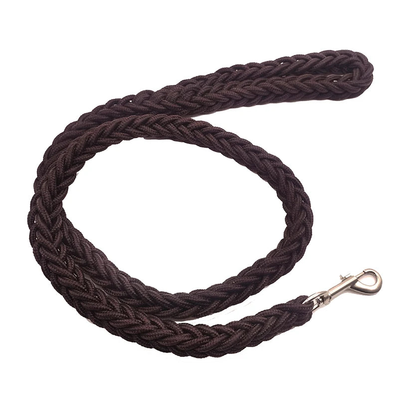 Nylon Leash