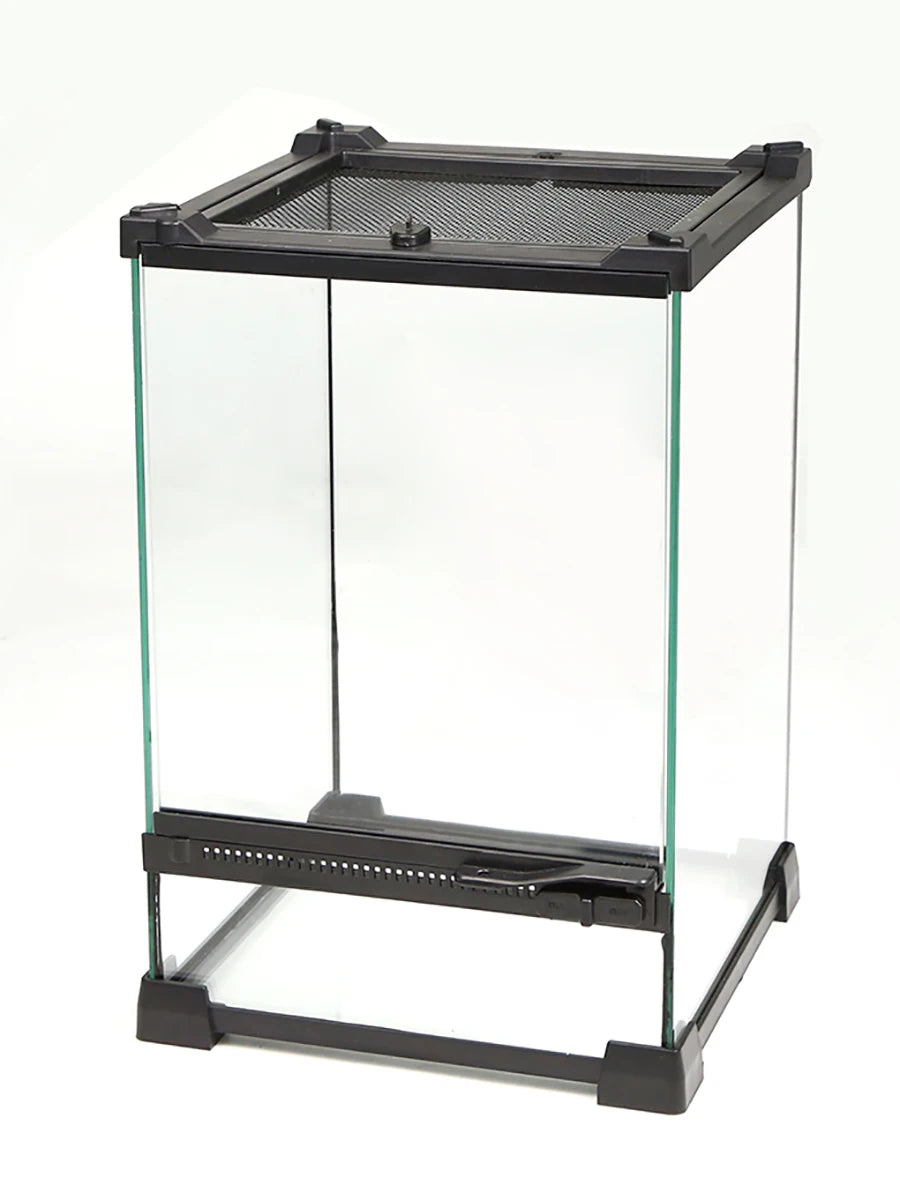 Tempered Glass Terrarium