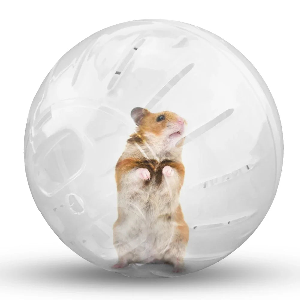 Hamster Running Ball