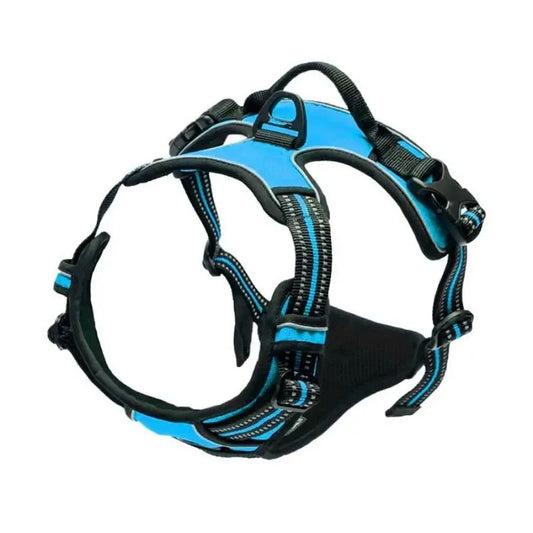 Collars, Harnesses & Leash Set