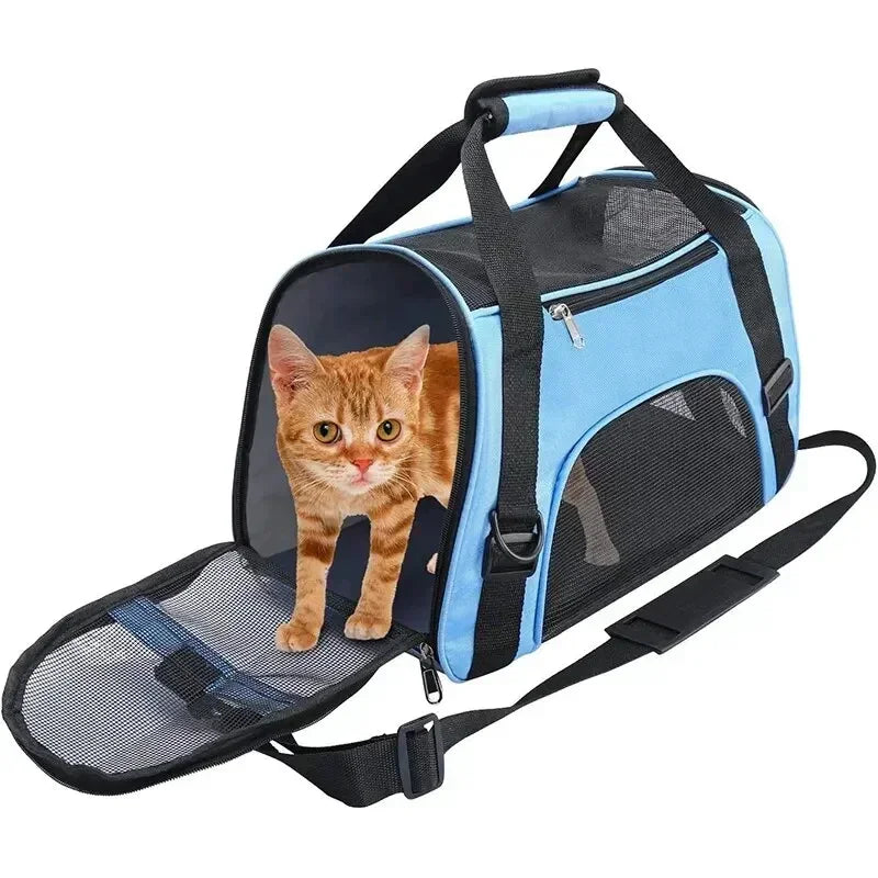 Dog Carrier 1