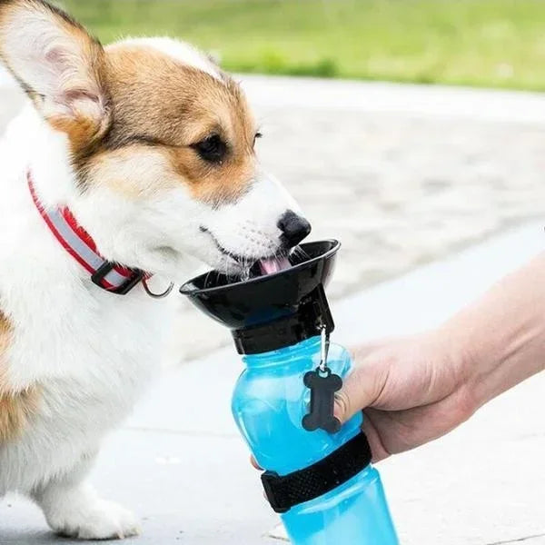 Portable Water Bottle 2