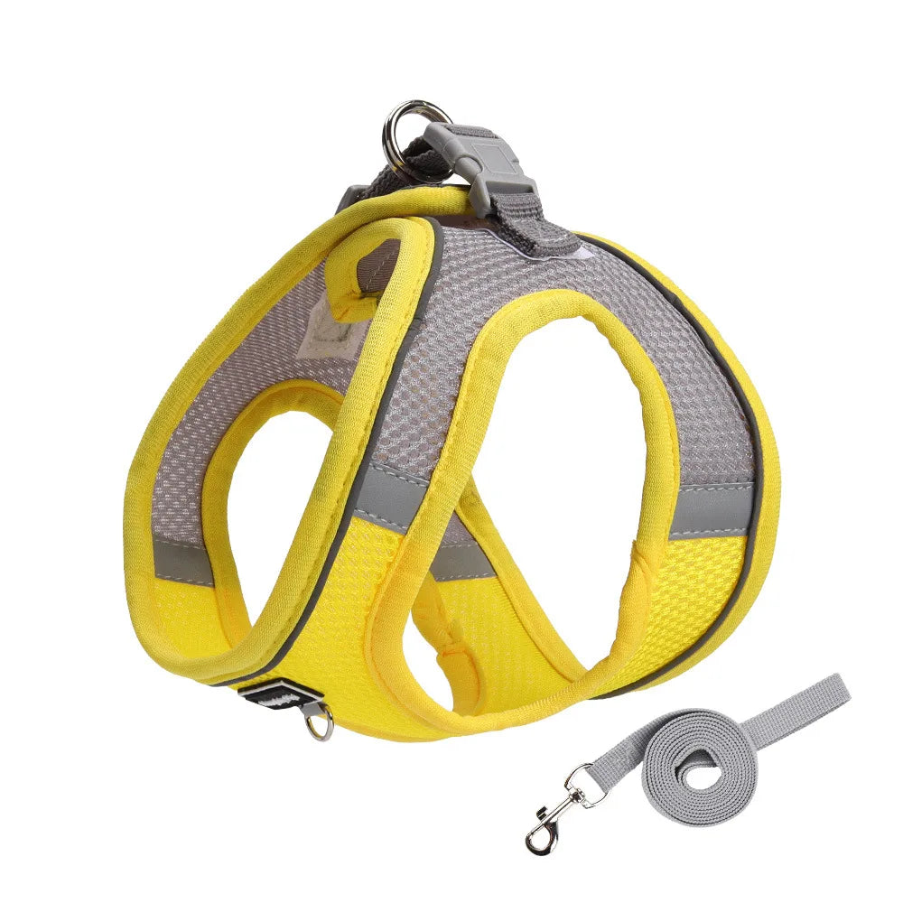 Adjustable Harness Set – Breathable Vest with Leash
