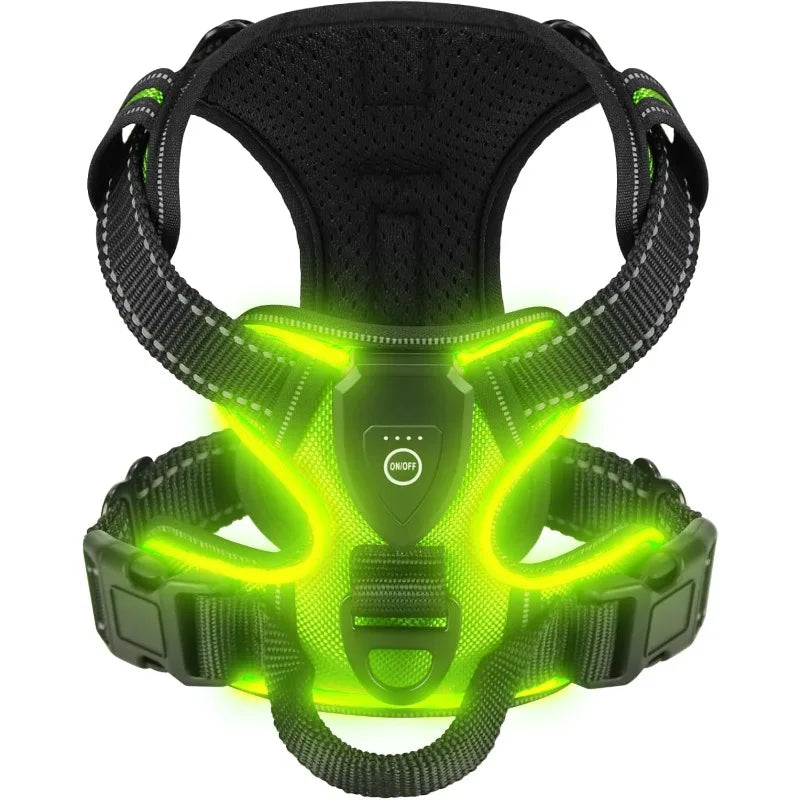 LED Luminous Harness