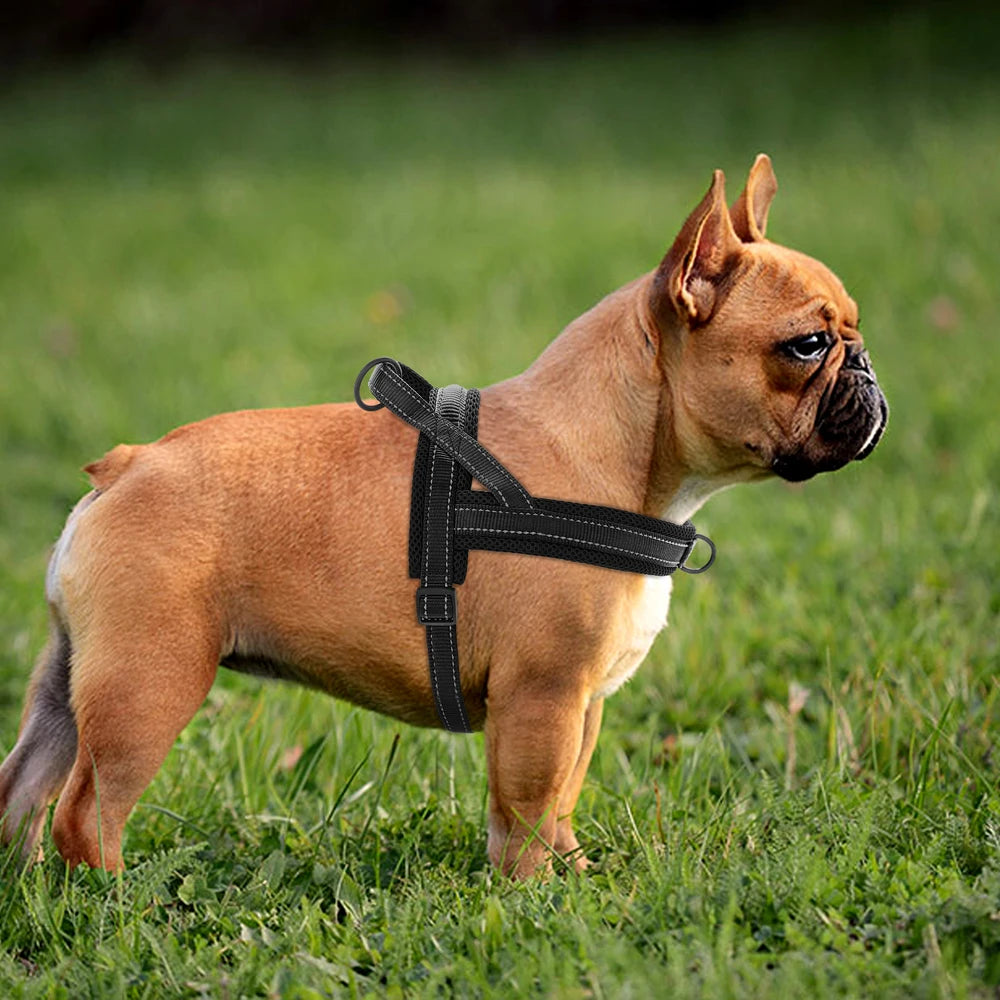Reflective No-Pull Padded Harness