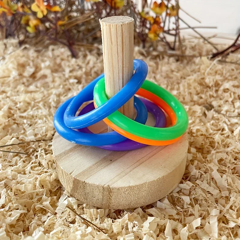 Wooden Ring Toy