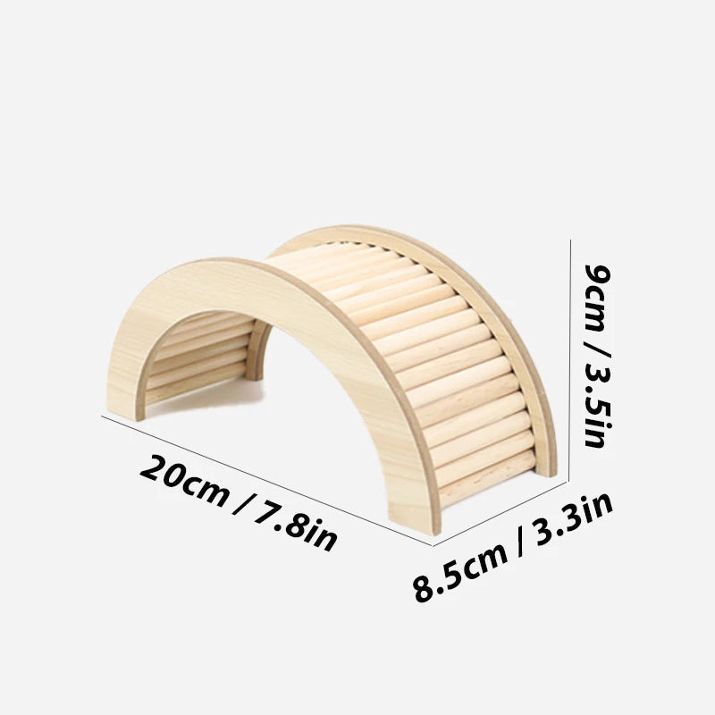 Hamster Climbing Ladder