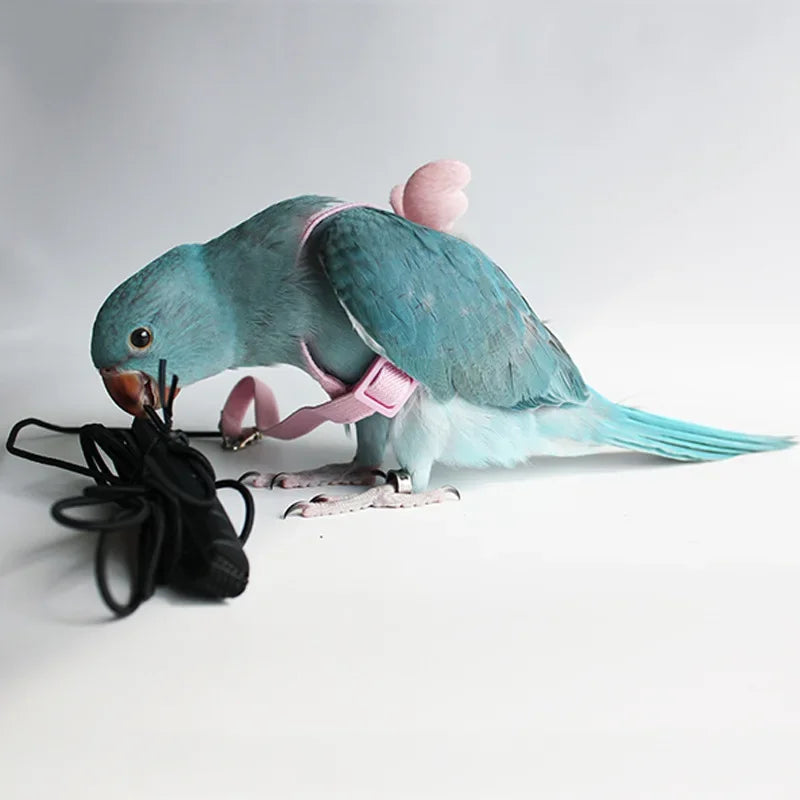 Bird Flying Harness