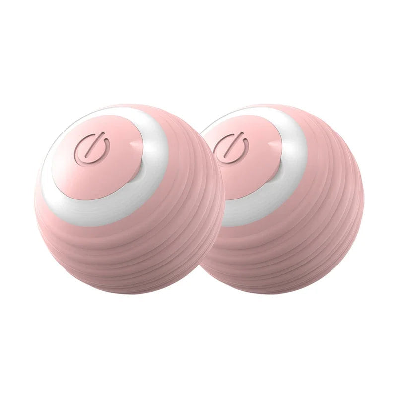 Interactive Ball Toy