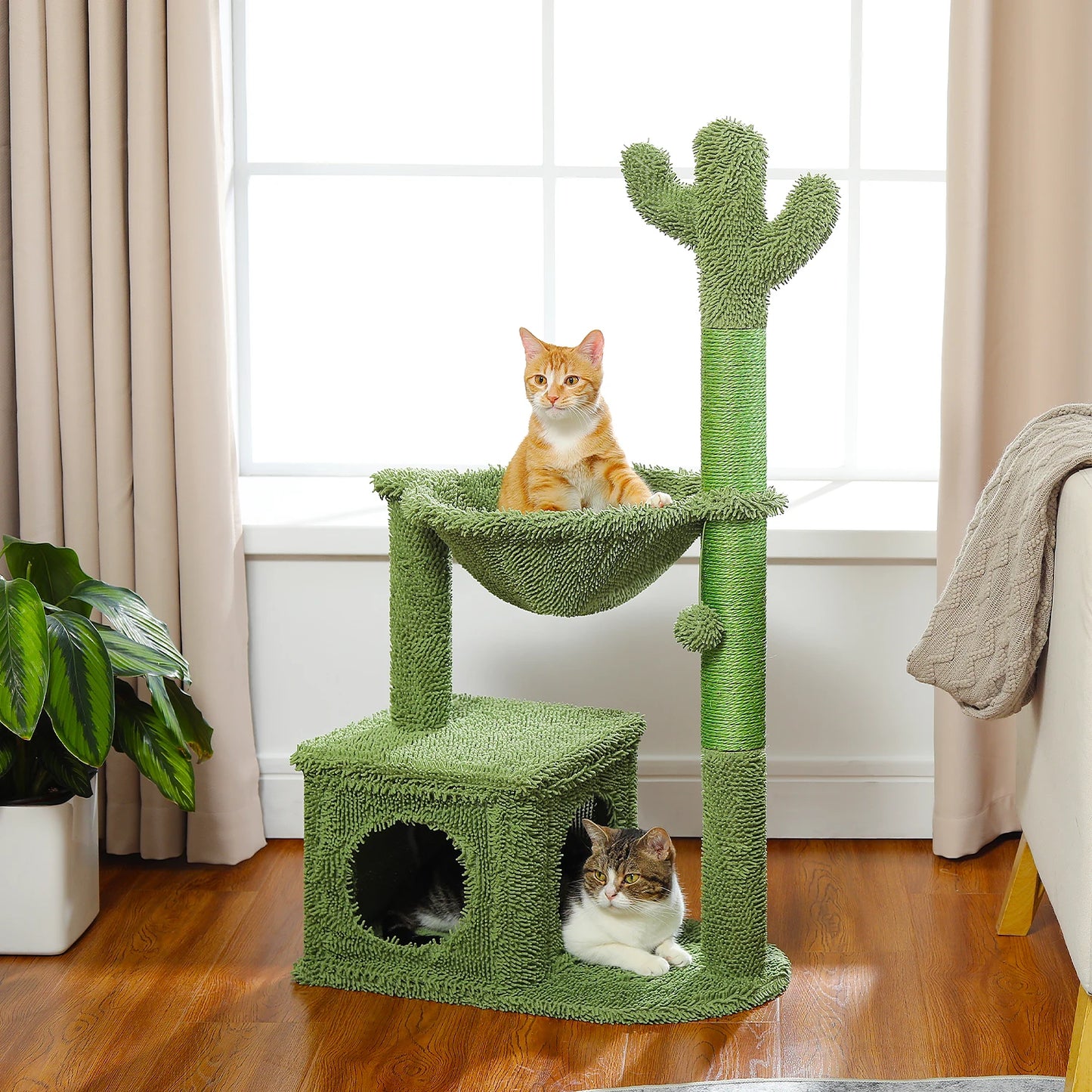 Cat Cactus Tree 1