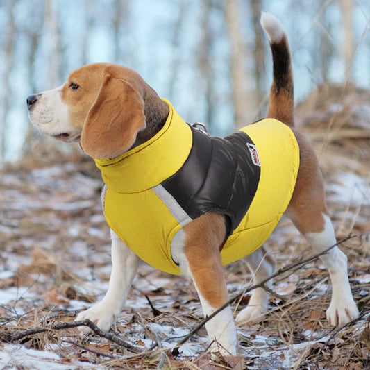 Waterproof Dog Winter Jacket 1