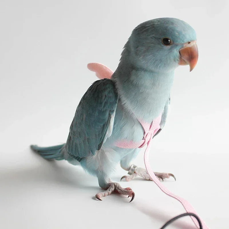 Bird Flying Harness