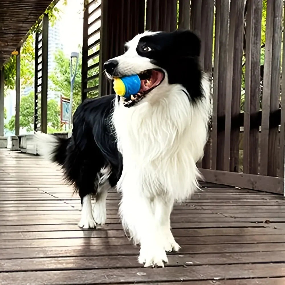 Durable Chew Ball Toy