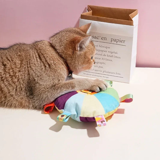 Rainbow Plush Dog Frisbee Toy