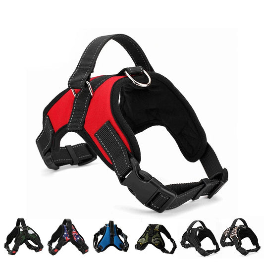 Quick-Release Nylon Harness