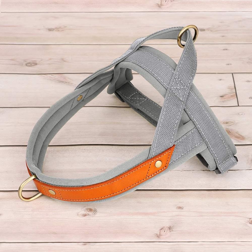 Reflective No-Pull Padded Harness
