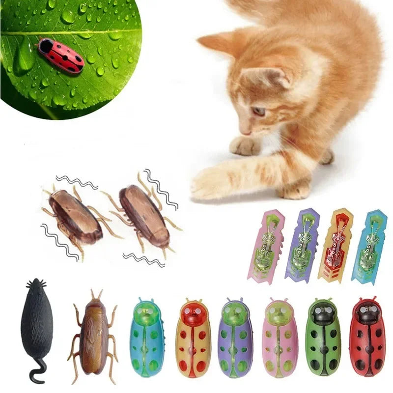 Funny Electric Bugs Catnip Toy