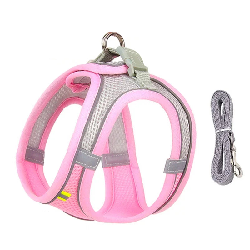 Puppy & Small Dog Harness Set – Leash Included