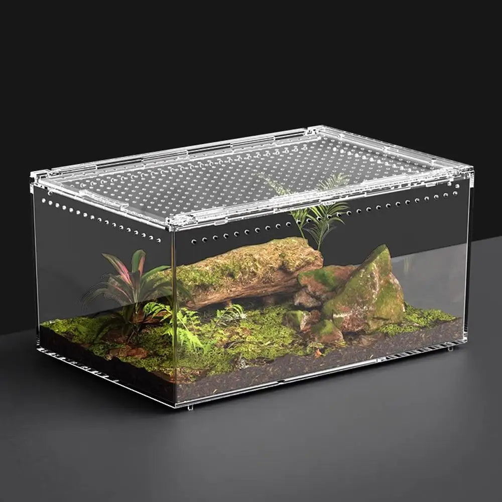 Acrylic Terrarium