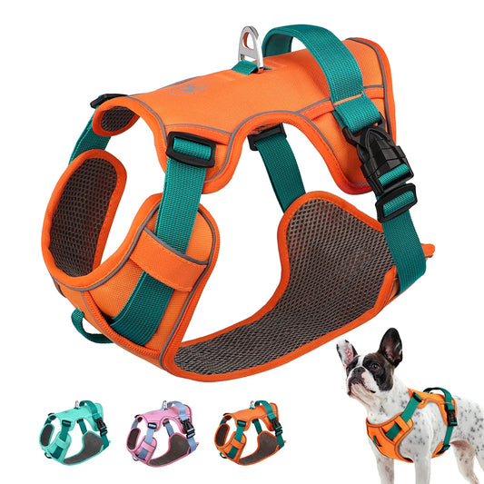 Mesh Reflective Harness