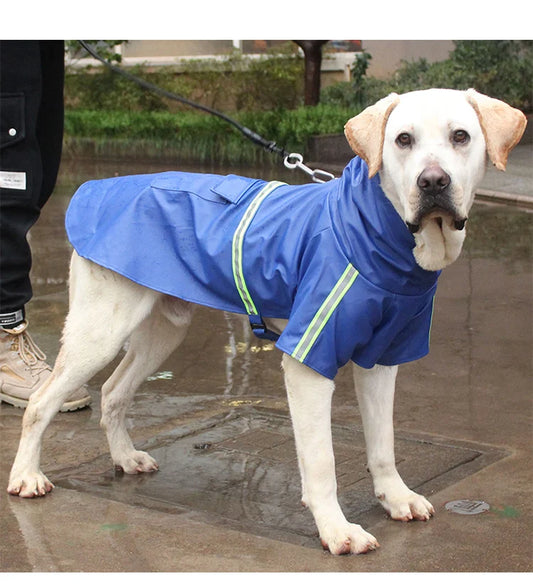 Corgi Cloak Style Raincoat 1