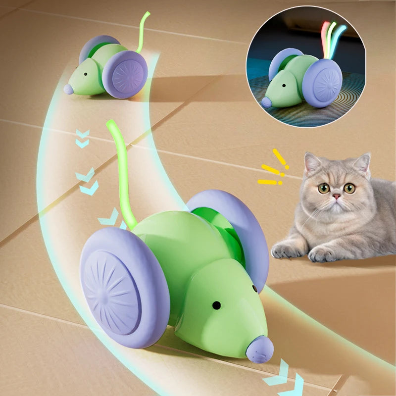 Electric Interactive MouseCar Toy