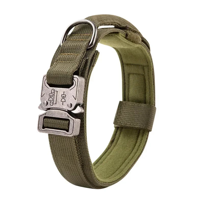 Sporty Tactical Collar
